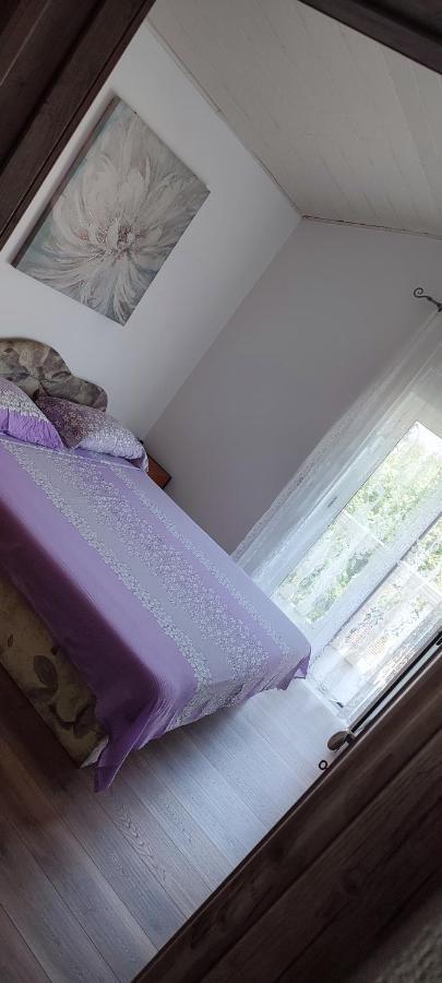 Apartmani Ivka بروداريكا المظهر الخارجي الصورة